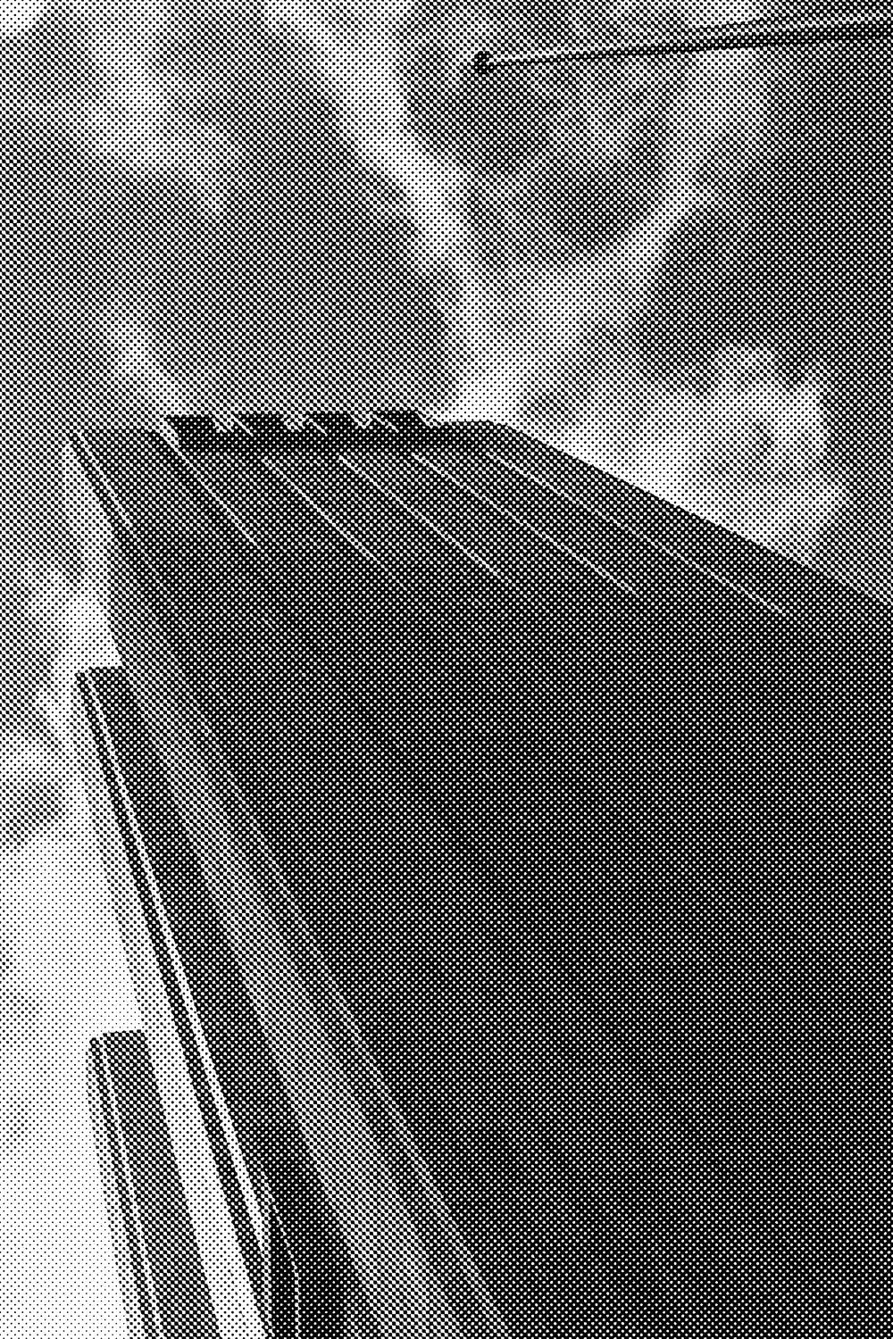 New York photography, halftoned for screenprint